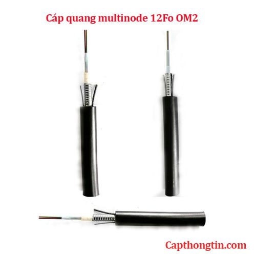 Cáp quang mulimode 12Fo OM2 ( 12Fo, 12 sợi, 12 core )