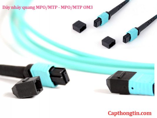 Dây nhảy quang MPO/MTP - MPO/MTP OM3