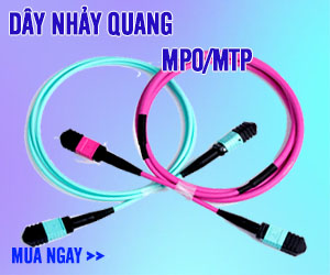 dây nhảy quang MPO-MTP