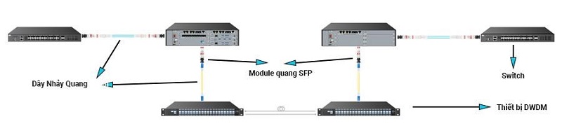 Sơ đồ ứng dụng của Module quang SFP