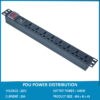 Thanh nguồn PDU 8 ổ chống sét ( SPD Surge Protector ) 1U gắn rack 19